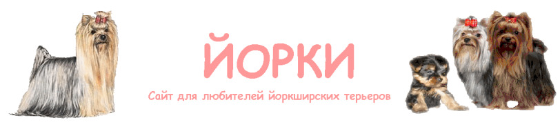 Как сшить домик для той терьера 3